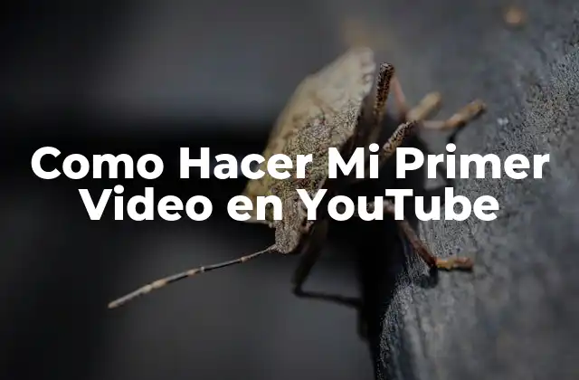 Como Hacer Mi Primer Video en Youtube