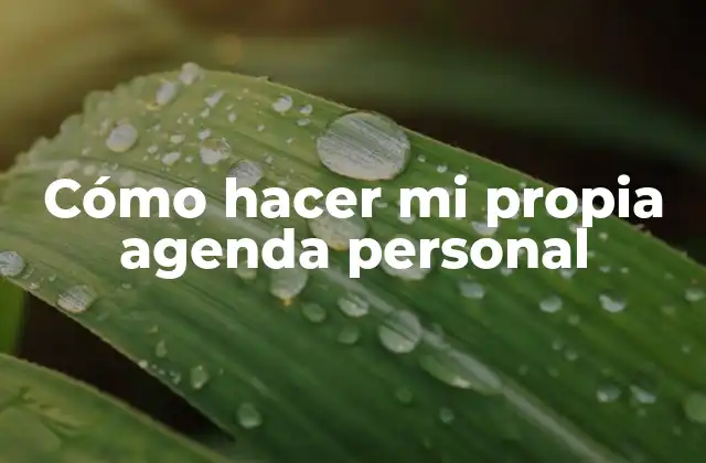 Cómo Hacer Mi Propia Agenda Personal
