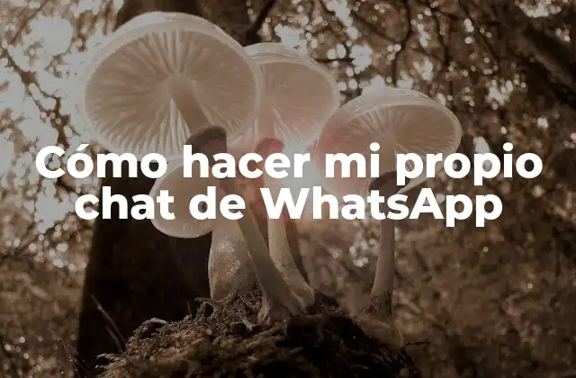 Cómo Hacer Mi Propio Chat de Whatsapp