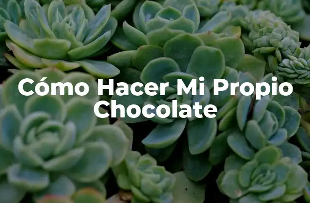 Cómo Hacer Mi Propio Chocolate