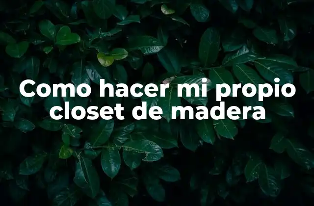 Como Hacer Mi Propio Closet de Madera