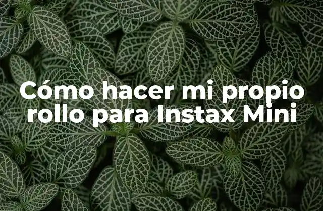 Cómo Hacer Mi Propio Rollo para Instax Mini