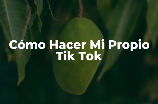 Cómo Hacer Mi Propio Tik Tok 2 ¿Qué es Tik Tok y para qué Sirve?