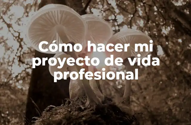 Cómo Hacer Mi Proyecto de Vida Profesional