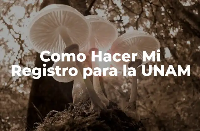 Como Hacer Mi Registro para la Unam