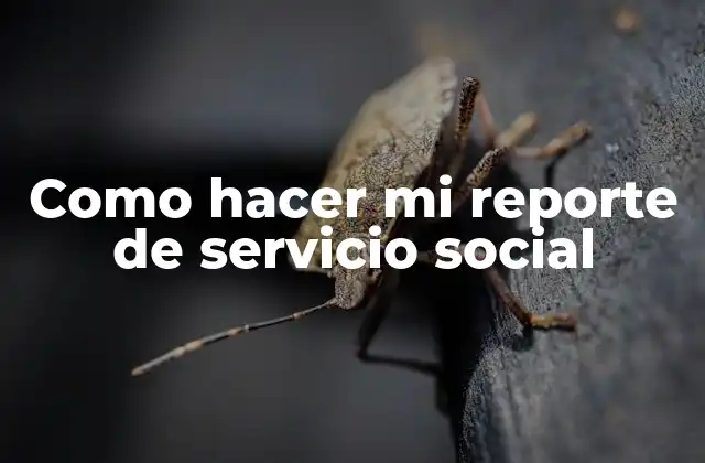 Como Hacer Mi Reporte de Servicio Social 2 Que es un reporte de servicio social
