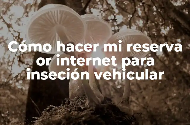 Cómo Hacer Mi Reserva Or Internet para Inseción Vehicular 2 ¿Qué es una reserva or internet para inseción vehicular?