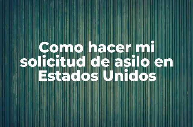 Como Hacer Mi Solicitud de Asilo en Estados Unidos