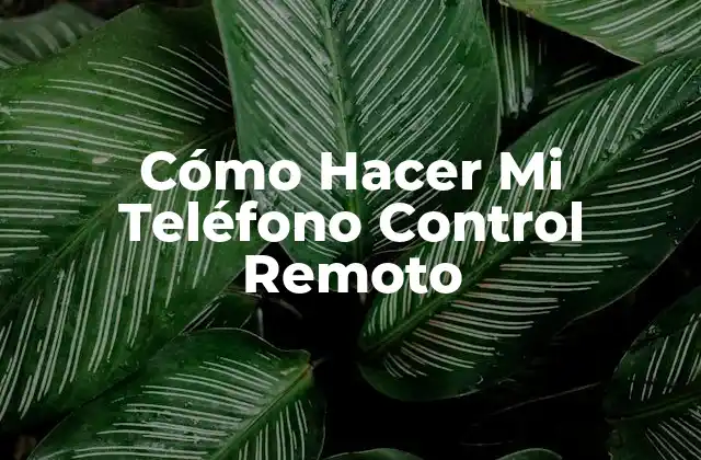 Cómo Hacer Mi Teléfono Control Remoto