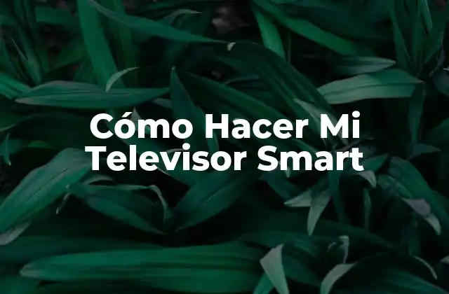 Cómo Hacer Mi Televisor Smart