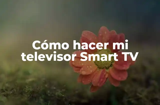 Cómo Hacer Mi Televisor Smart Tv