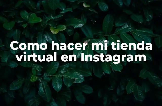 Como Hacer Mi Tienda Virtual en Instagram
