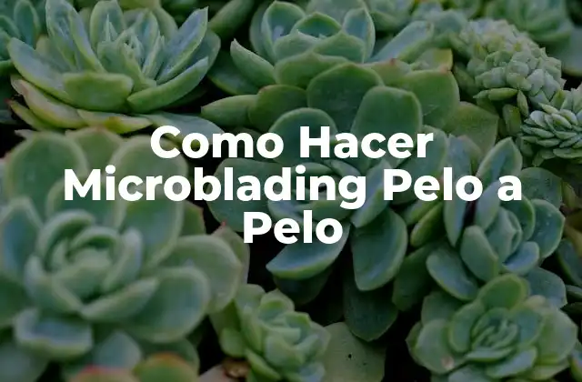 Como Hacer Microblading Pelo a Pelo