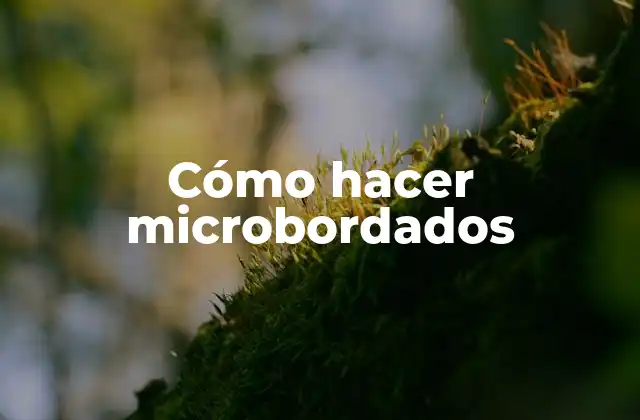 Cómo Hacer Microbordados