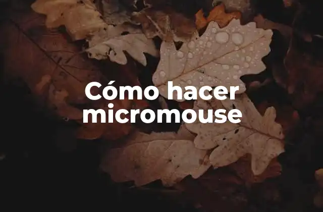 Cómo Hacer Micromouse