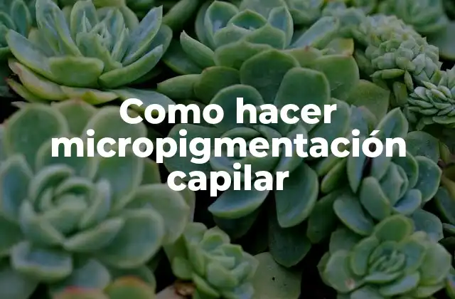 Como Hacer Micropigmentación Capilar