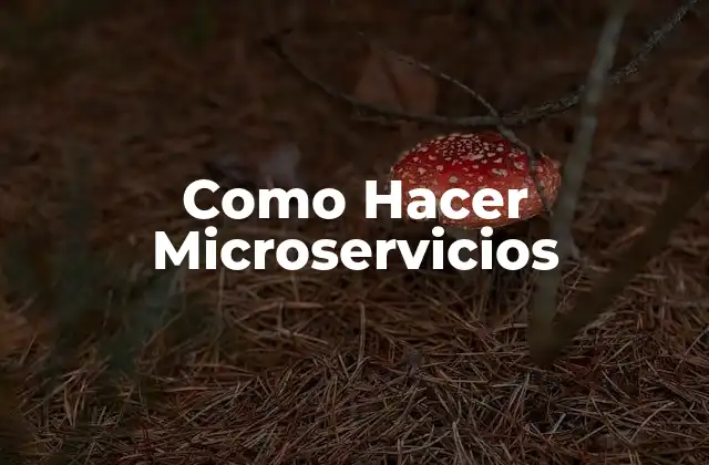 ¿Qué son los Microservicios?