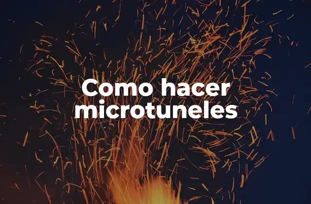Como Hacer Microtuneles