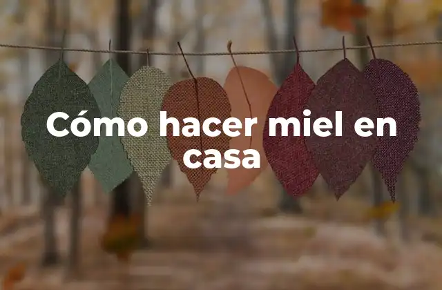 ¿Qué es la miel y para qué sirve?