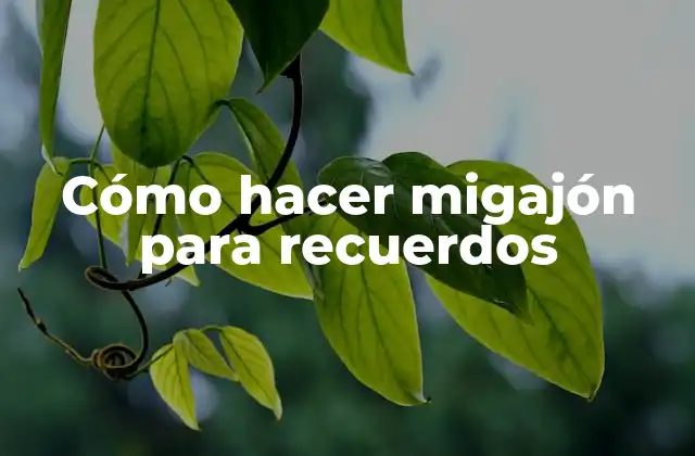 Cómo Hacer Migajón para Recuerdos