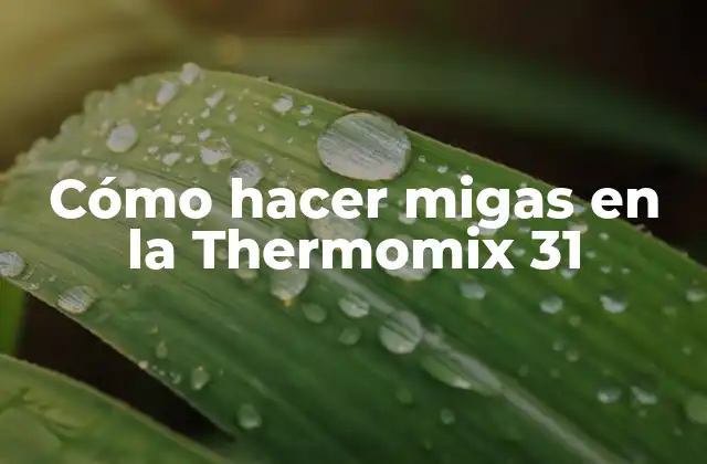 Cómo Hacer Migas en la Thermomix 31