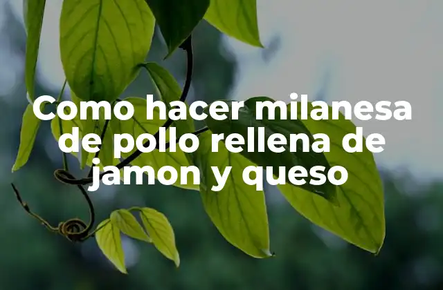 Como Hacer Milanesa de Pollo Rellena de Jamon y Queso
