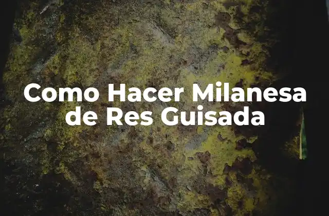 Como Hacer Milanesa de Res Guisada