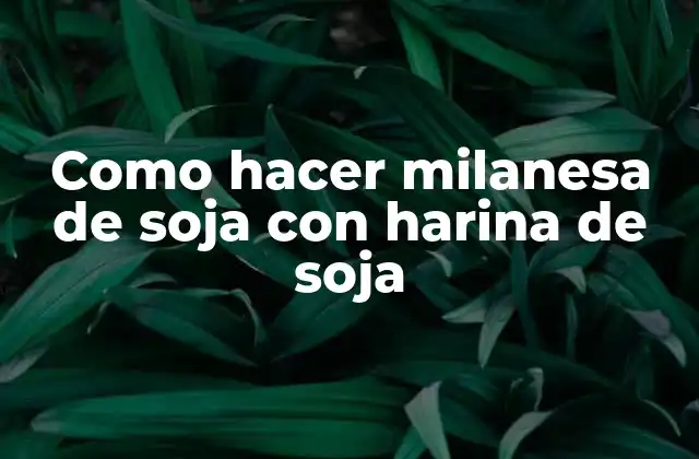 ¿Qué es la milanesa de soja con harina de soja?