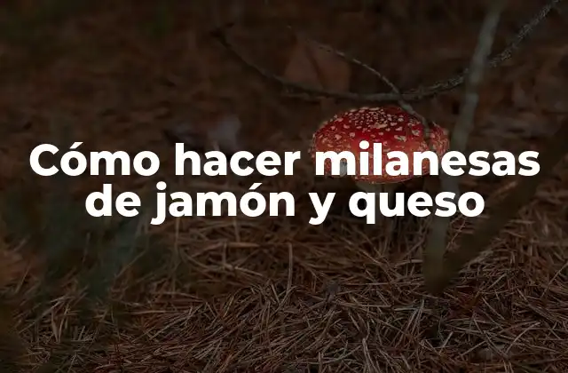 Cómo Hacer Milanesas de Jamón y Queso