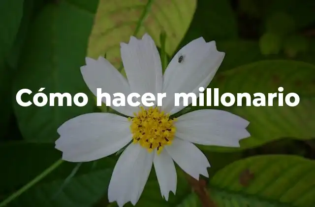 Qué es ser millonario y cómo se consigue