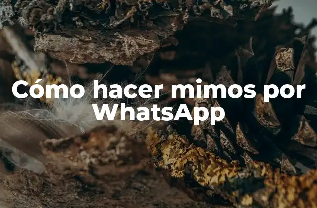 Cómo Hacer Mimos por Whatsapp