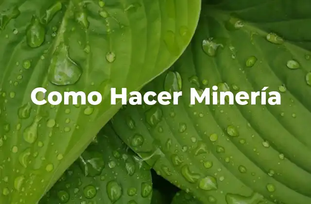 Como Hacer Minería
