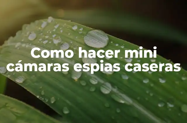 ¿Qué son las mini cámaras espias caseras?