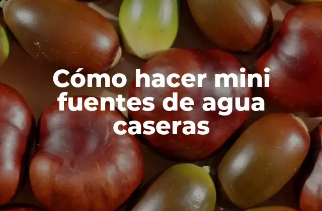 Cómo Hacer Mini Fuentes de Agua Caseras 2 ¿Qué es una mini fuente de agua casera?