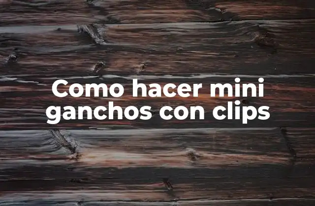 Como Hacer Mini Ganchos con Clips