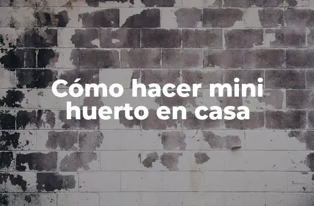 Cómo Hacer Mini Huerto en Casa