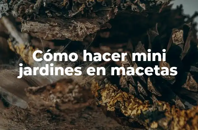 Cómo Hacer Mini Jardines en Macetas