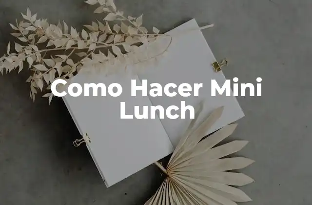 Como Hacer Mini Lunch