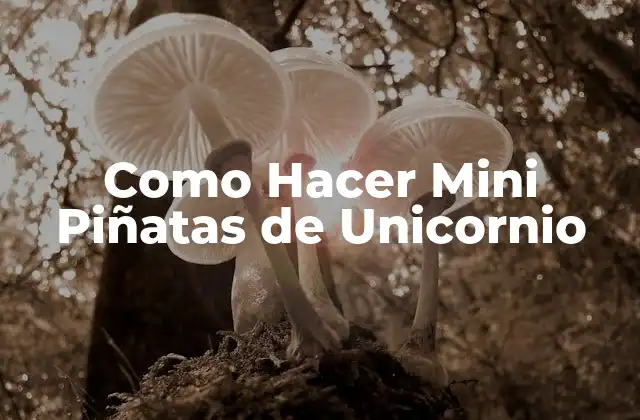 ¿Qué son las Mini Piñatas de Unicornio?