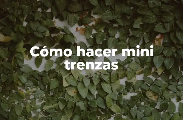 Cómo Hacer Mini Trenzas
