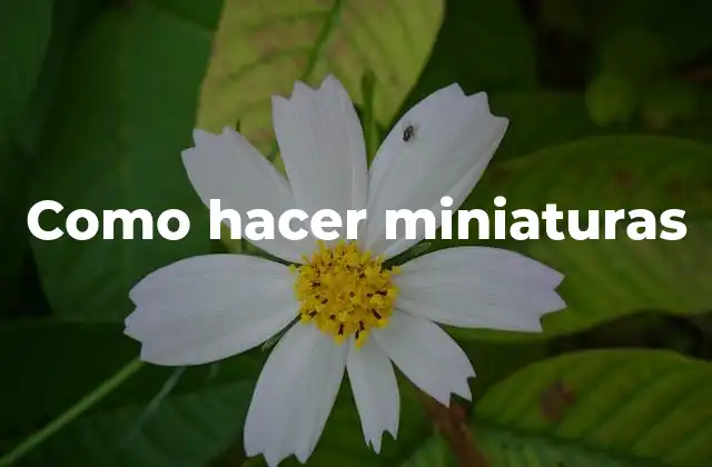 Como Hacer Miniaturas