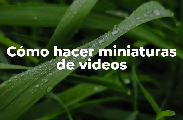 Cómo Hacer Miniaturas de Videos