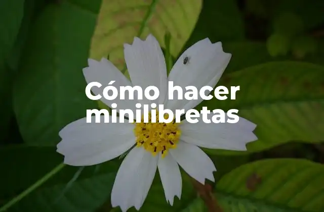 Cómo Hacer Minilibretas 2 ¿Qué es una minilibreta y para qué sirve?