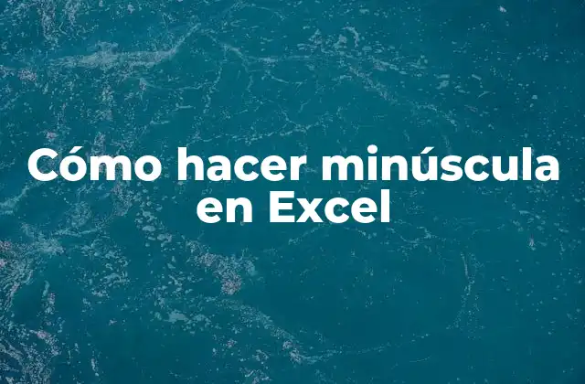 Cómo Hacer Minúscula en Excel