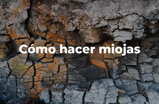 Cómo Hacer Miojas