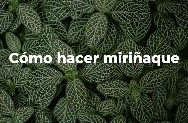 Cómo Hacer Miriñaque