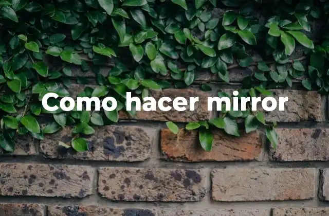 Como Hacer Mirror