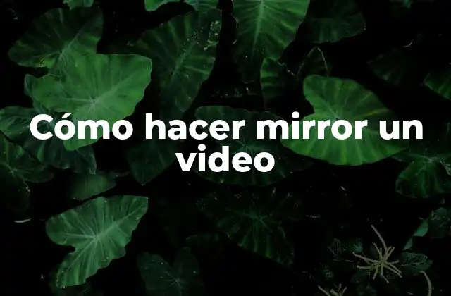 Cómo Hacer Mirror un Video
