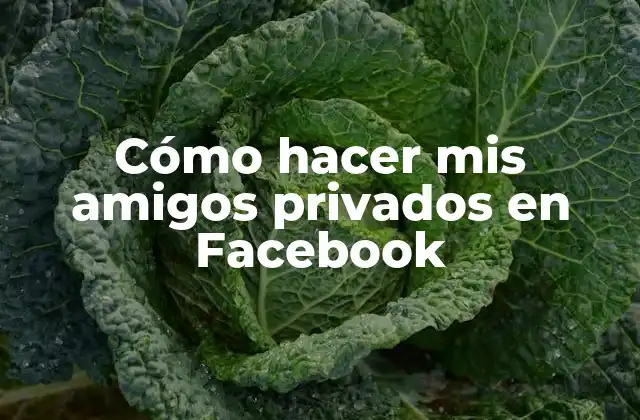 Cómo Hacer Mis Amigos Privados en Facebook