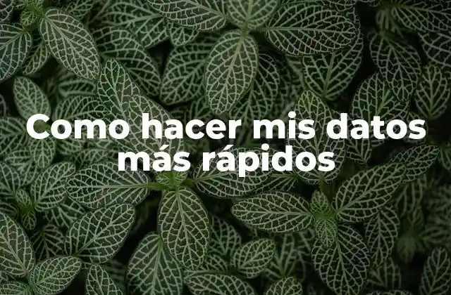Como Hacer Mis Datos Más Rápidos